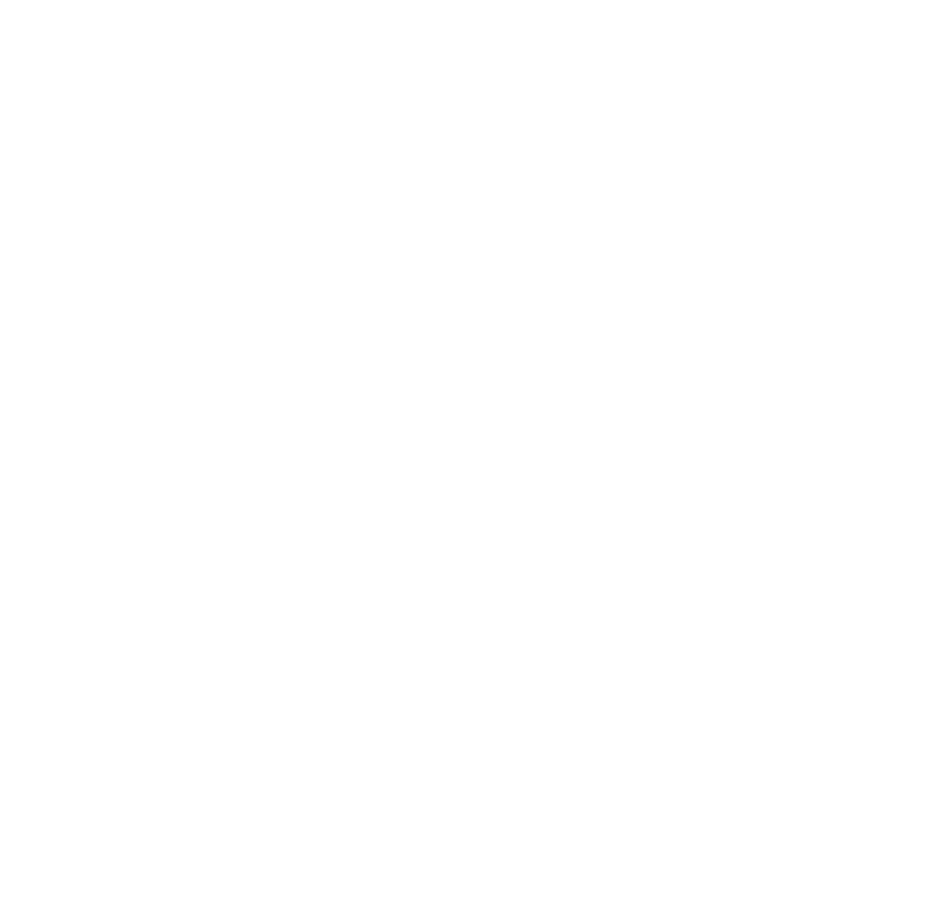 Ceva logo